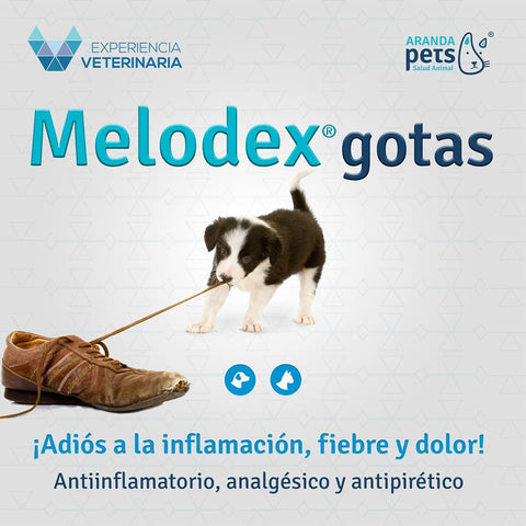 Melodex Gotas 10 mL