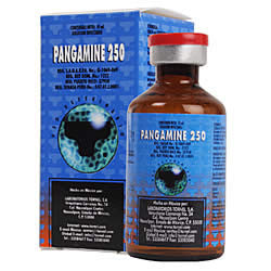 Pangamine 250 Inyectable Frasco de 30 ml