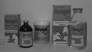 Reugol 2% Inyectable 250 ml.