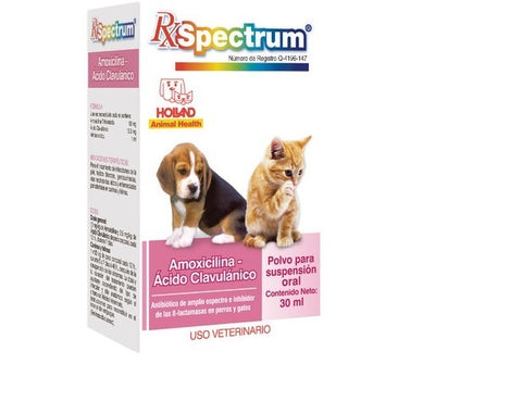 Spectrum® Amoxicilina y Ácido Clavulánico 50 mg/12.5 mg Suspensión 30 ml