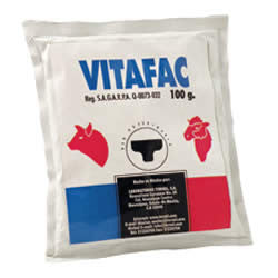 Vitafac Electrolitos Orales Caja con 10 Sobres 100 gr DESCONTINUADO